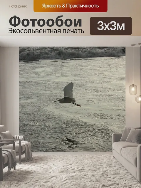Фотообои Птица в полете
