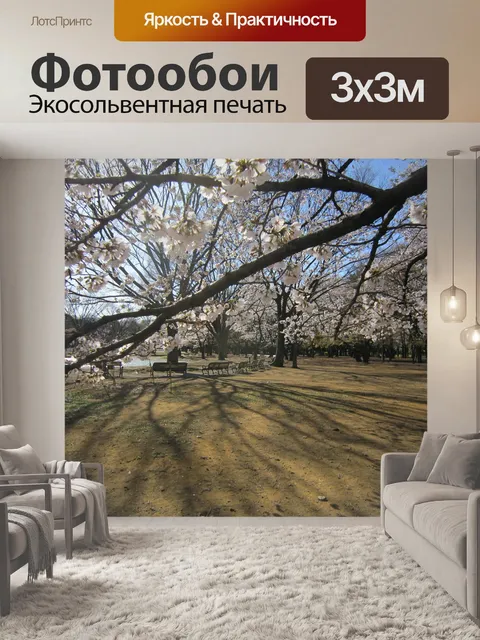 Фотообои Расцветает