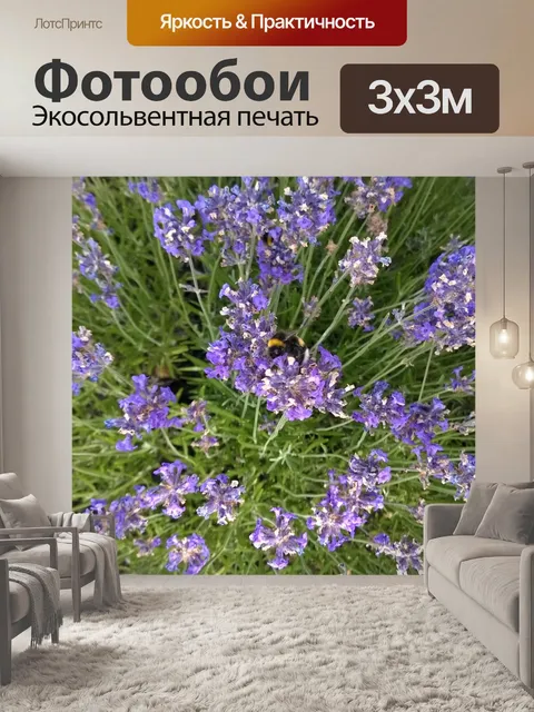 Фотообои Лаванда