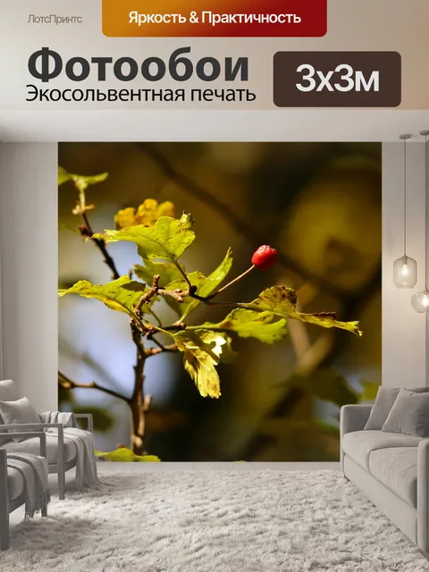 Фотообои Падение
