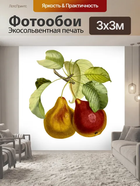 Фотообои Плоды груши винтажные