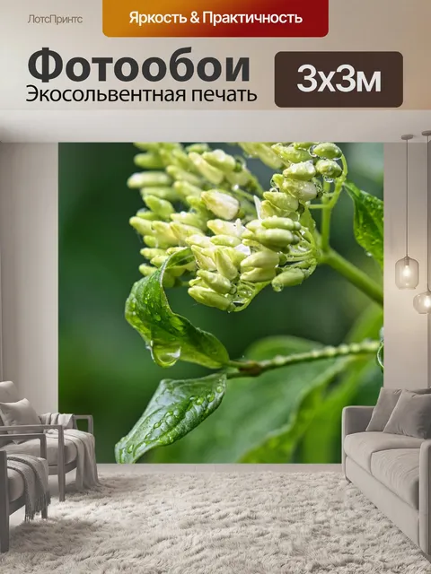 Фотообои Цветы