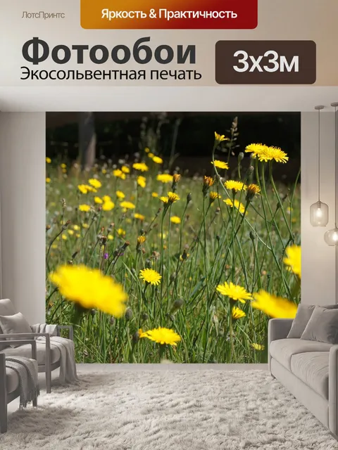 Фотообои Луг