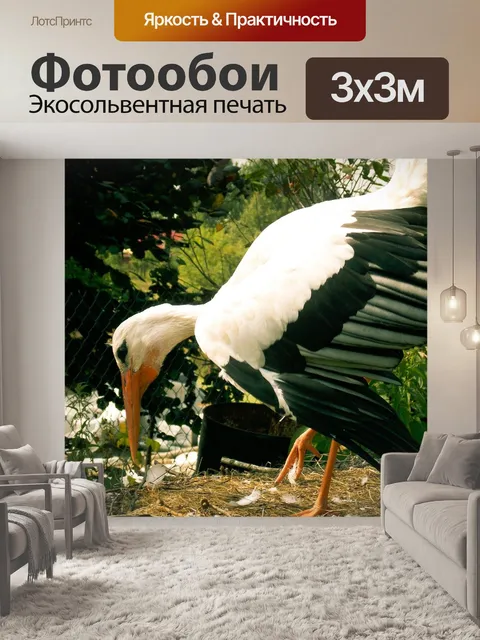 Фотообои Аист