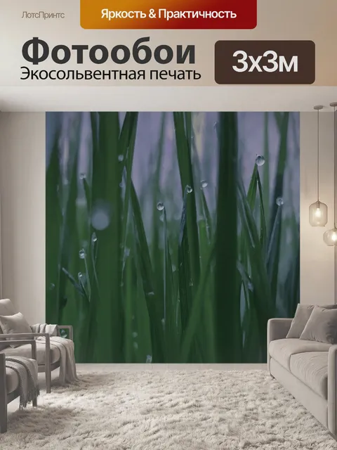 Фотообои Дождливый день