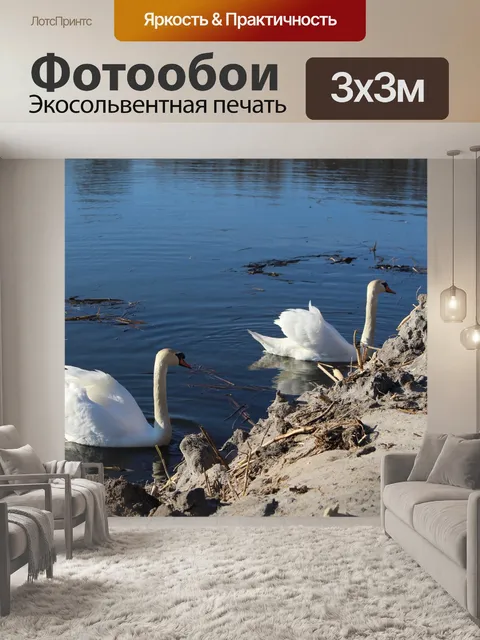 Фотообои Птицы