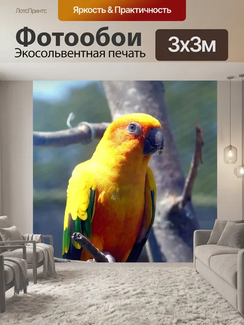 Фотообои Птица