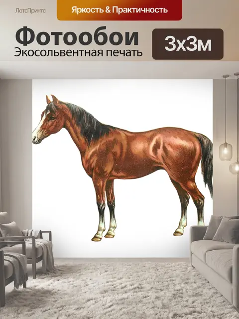 Фотообои Винтажная коричневая лошадь