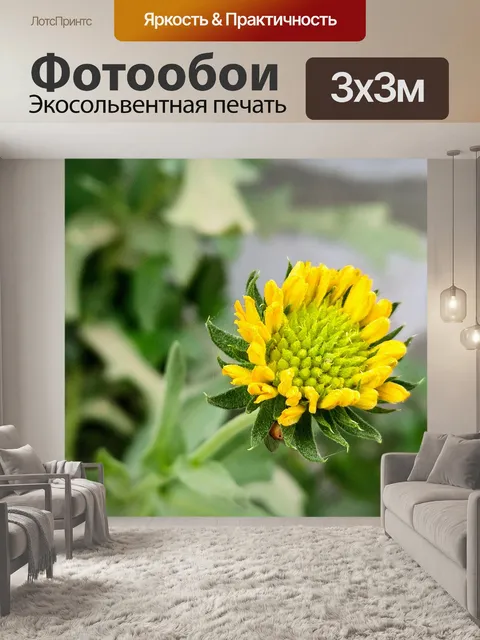 Фотообои Мини