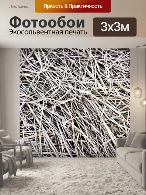 Фотообои Полевые цветы