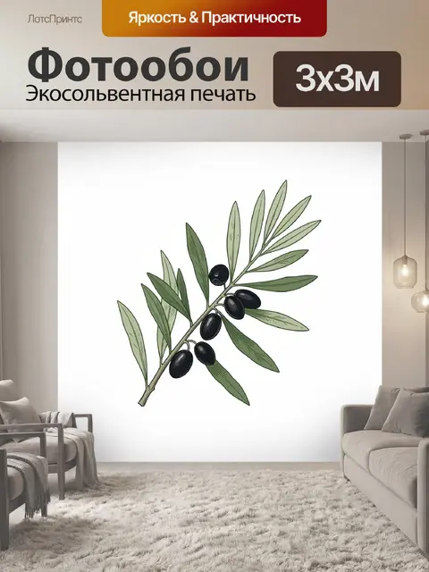 Фотообои Ветвь оливки с черными плодами