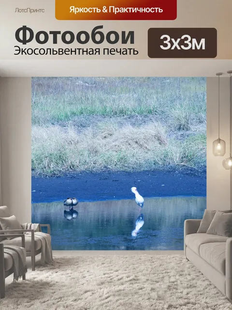 Фотообои белая птица и два египетских гуся