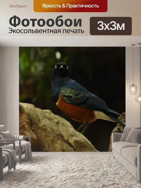Фотообои Птица