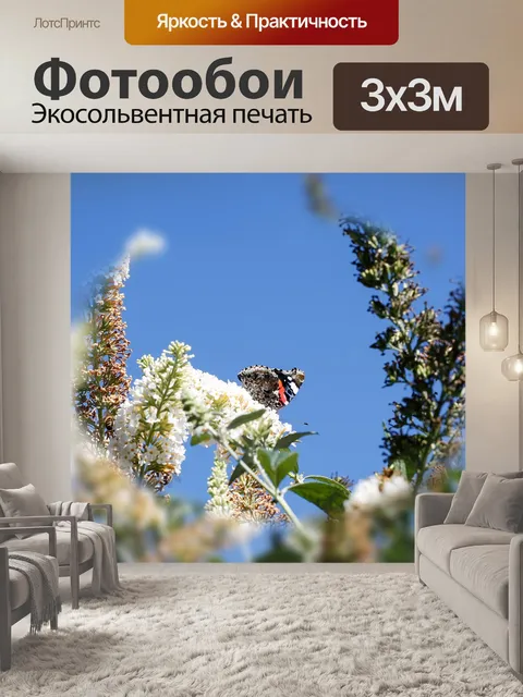 Фотообои Бабочка