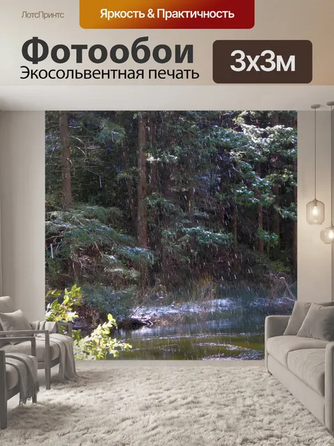 Фотообои Снег в Йосемити