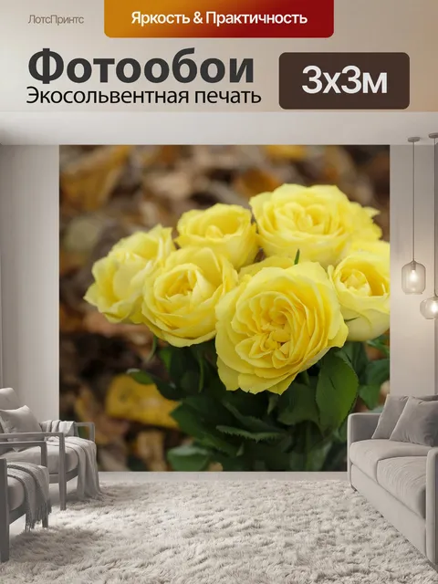 Фотообои Розы