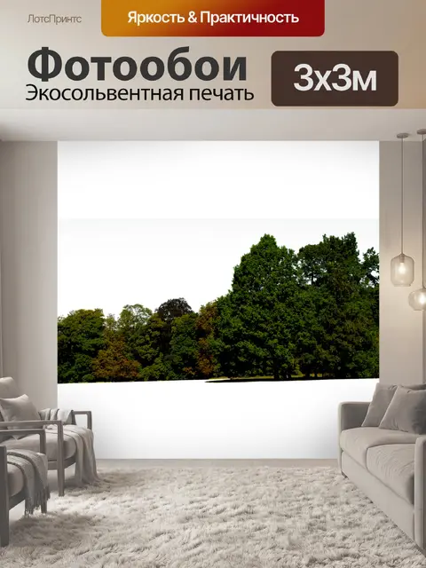 Фотообои Деревья