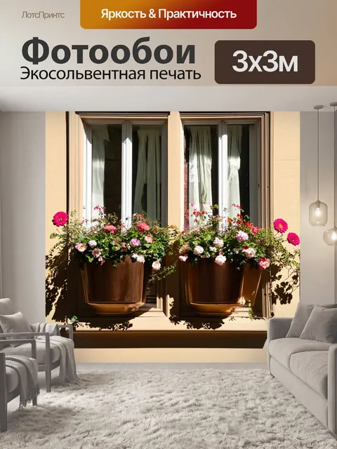 Фотообои традиционные французские окна с цветами в париже