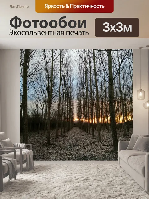 Фотообои Темный
