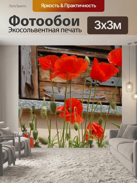 Фотообои Цветок