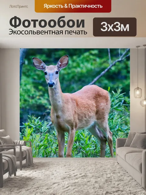 Фотообои Дикий олень