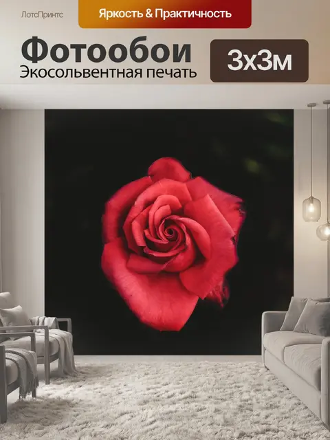 Фотообои Цветок