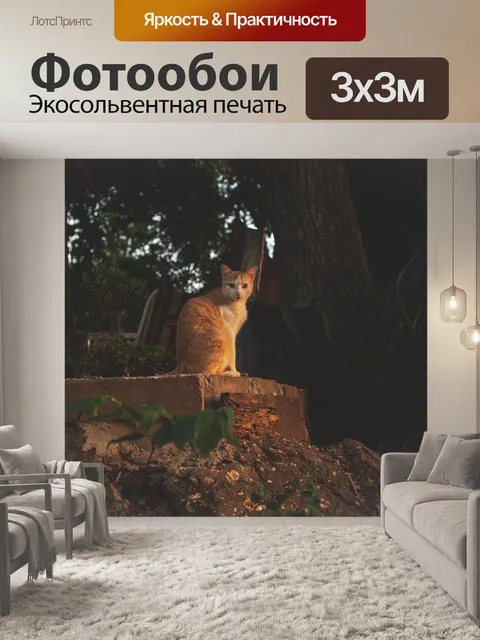 Фотообои Кошка