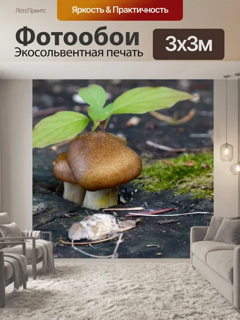 Фотообои Дикий