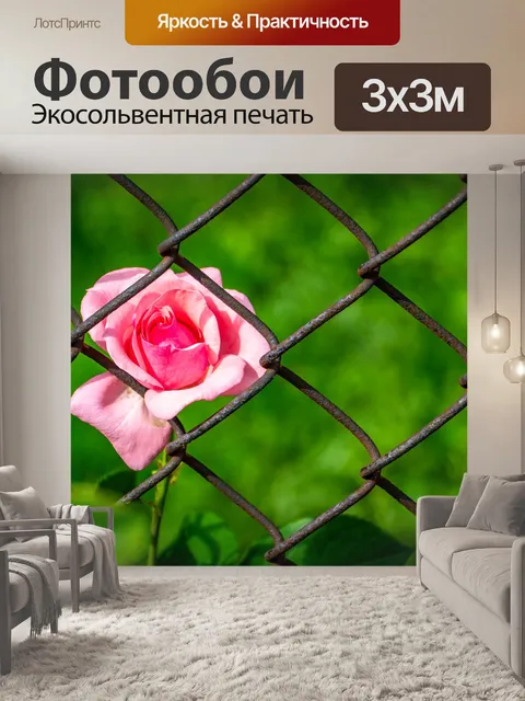 Фотообои Роза