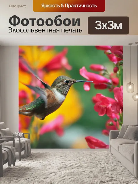 Фотообои Колибри