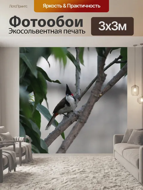Фотообои Птица