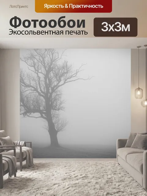 Фотообои Туман