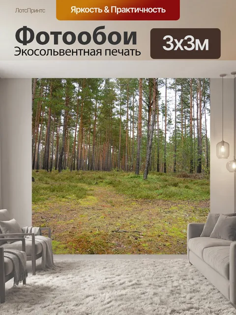Фотообои Лес