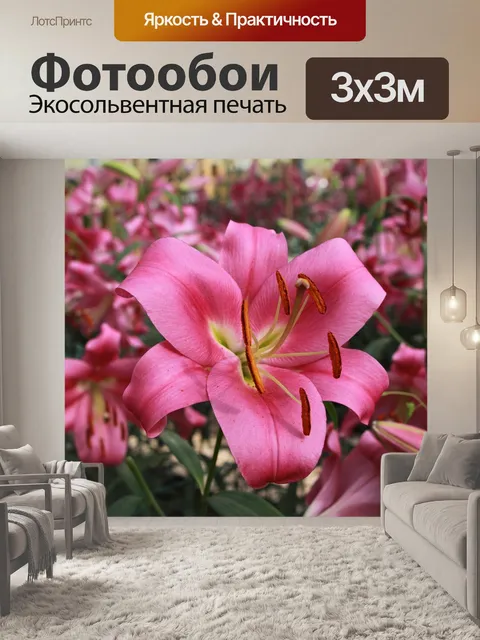 Фотообои Красивый