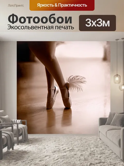 Фотообои легкие и изящные пуанты, словно перышки, находятся в центре внимание