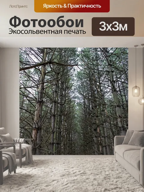 Фотообои Сосны