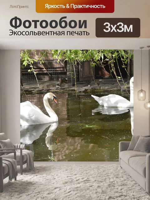 Фотообои Лебеди