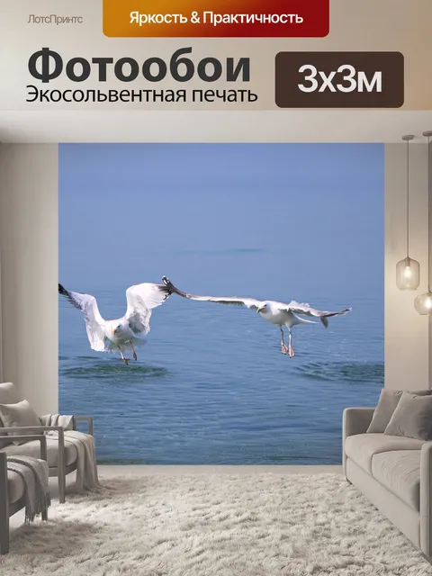 Фотообои Чайка