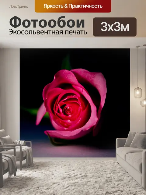 Фотообои Роза