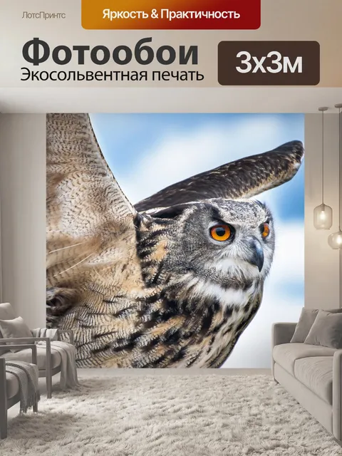 Фотообои Сова