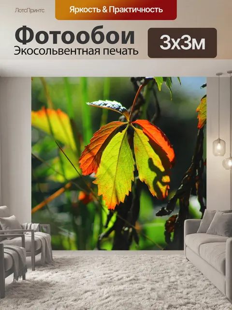 Фотообои Листья
