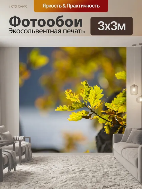 Фотообои Осенние листья
