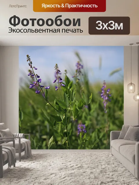 Фотообои Луг