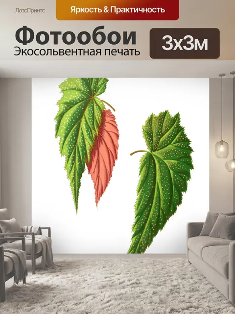 Фотообои Листва лист растение прозрачный