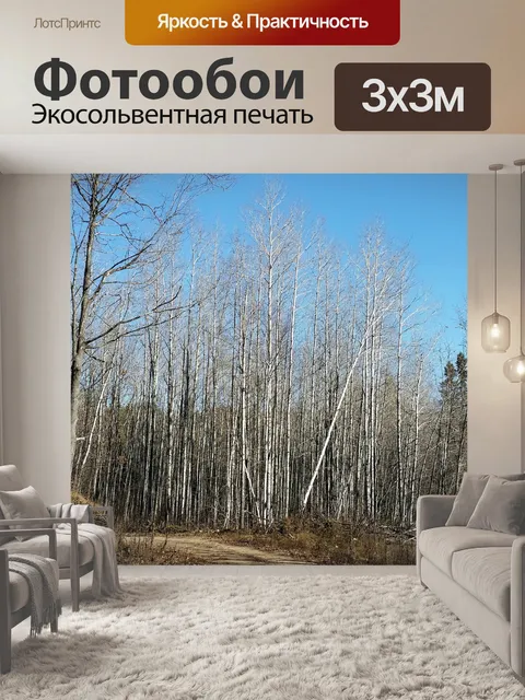 Фотообои Осень