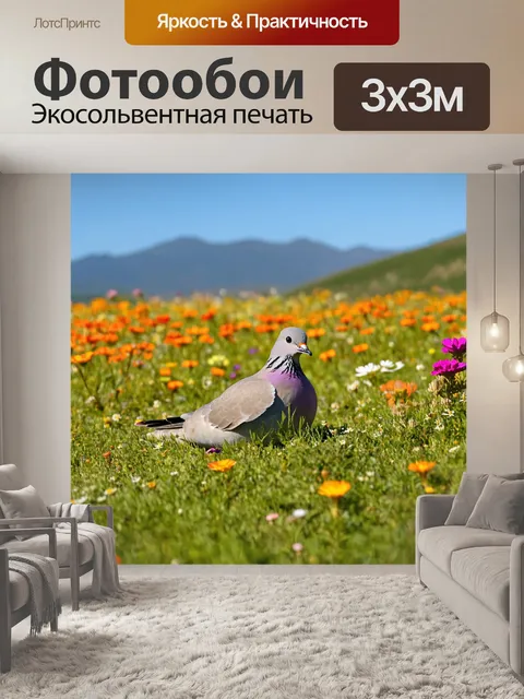 Фотообои голубь, отдыхающий на пустыре с яркими дикими цветами, его перо слегка трепещет на ветру, вдалеке видны горы…