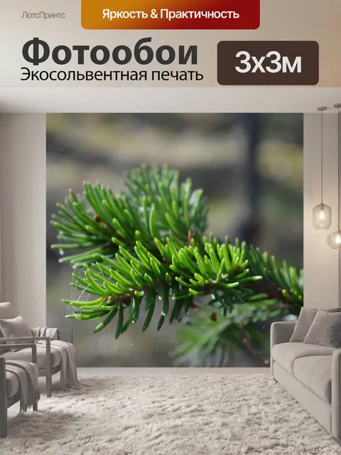 Фотообои Ель