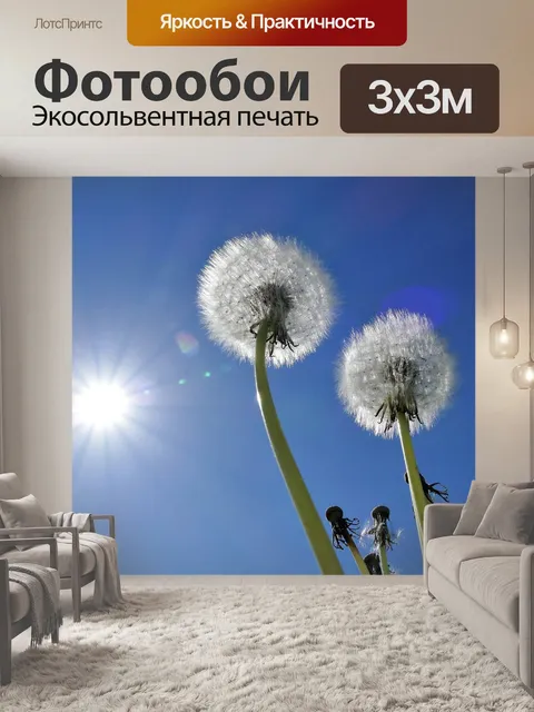 Фотообои Одуванчик