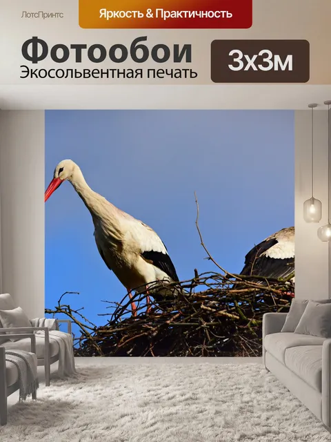 Фотообои Аист