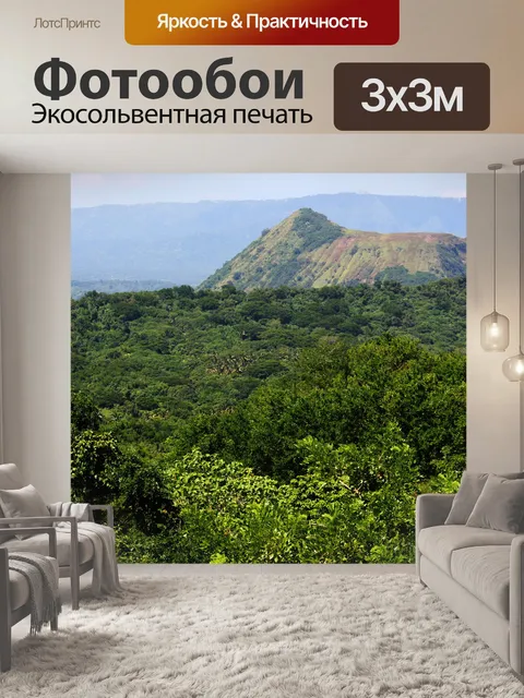 Фотообои зеленый
